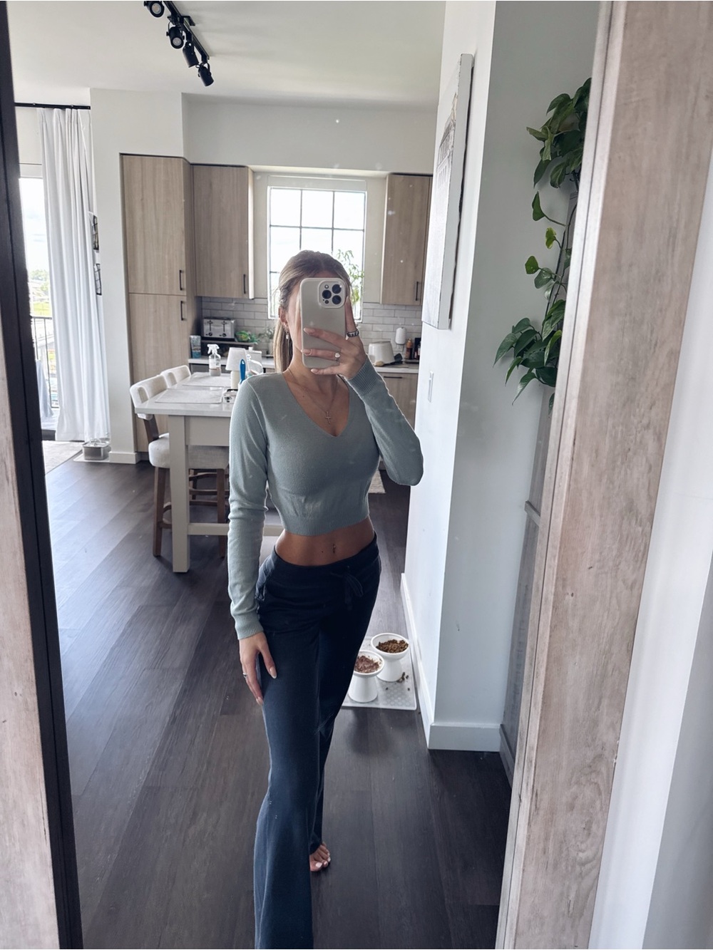 Brandy Melville Sage Cropped V-Neck Long Sleeve Top (One Size)